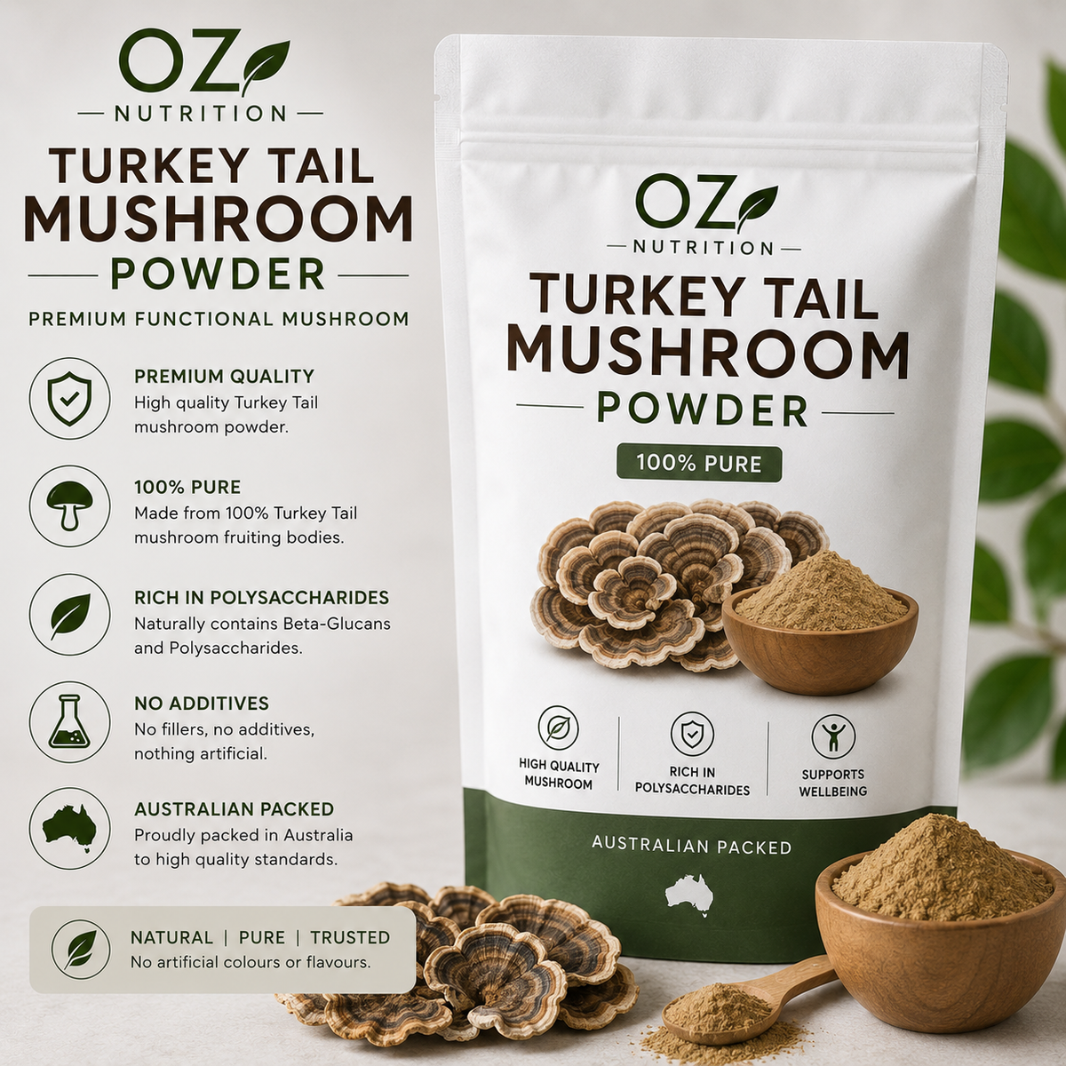 Turkey Tail Mushroom Powder