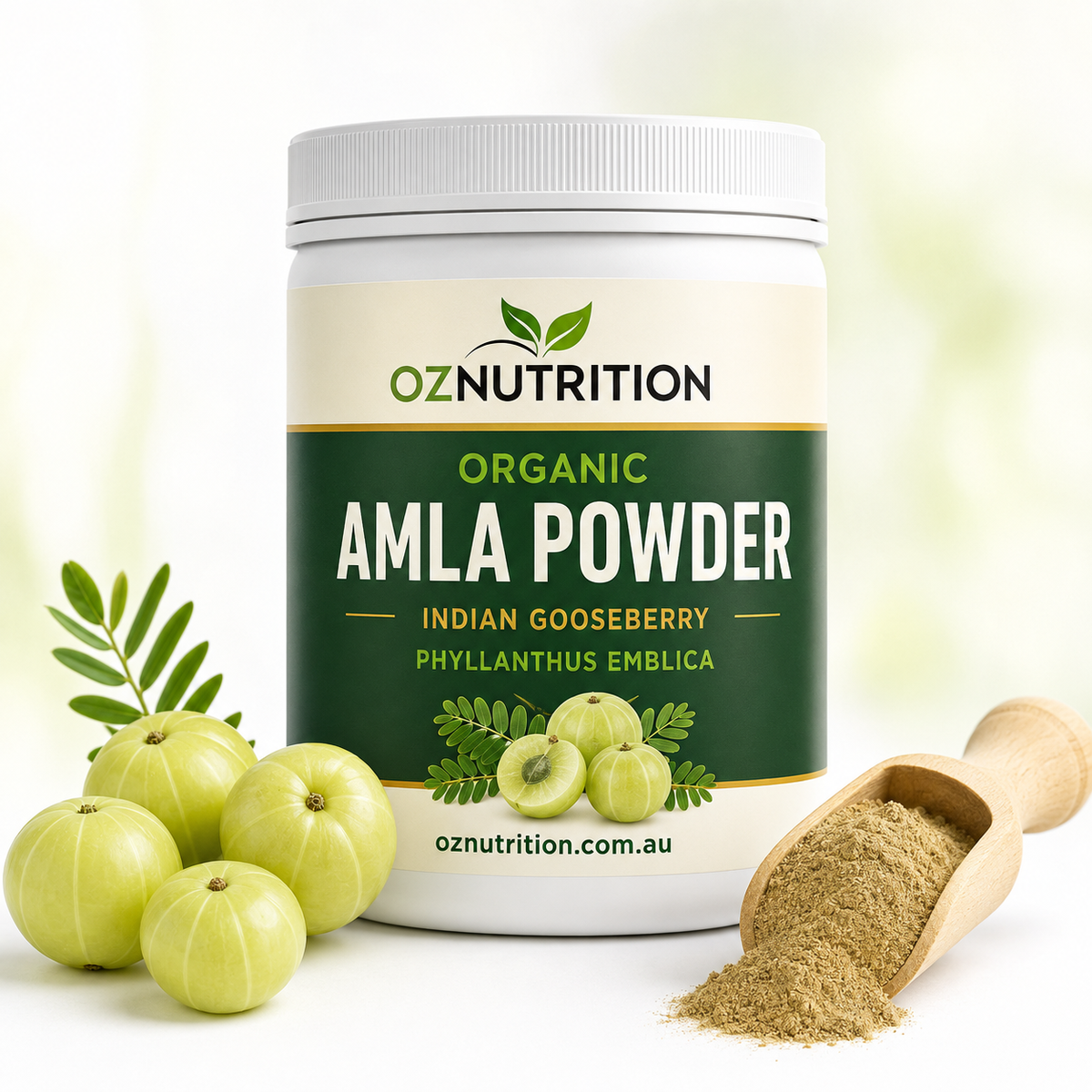 Organic Amla Powder